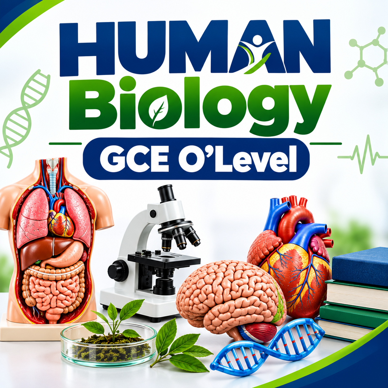 Cameroon GCE, Form Five, Human Biology – HOUSING